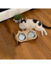 Cargar imagen en el visor de la galería, Tazas Alimentación Elevadas para Perros y Gatos ESOCATS
